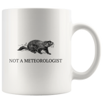 custom order - not a meteorologist mug