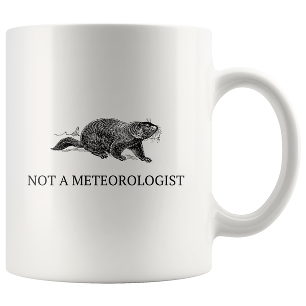 custom order - not a meteorologist mug