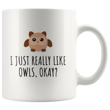 custom order - I just really like owls - 11oz