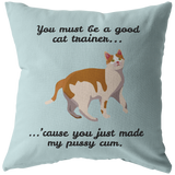 Sexy Boyfriend Gift - Sexy Throw Pillow - Husband Gift - Valentine's Day - Birthday or Anniversary Gift - You Just Made My Pussy Cum