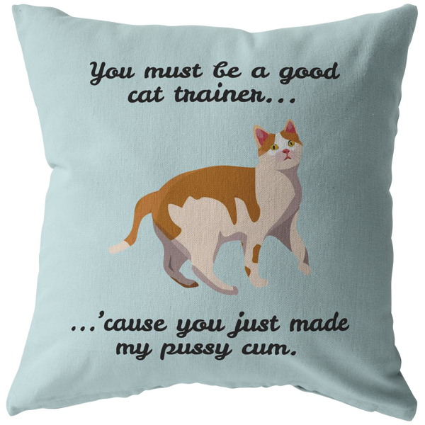 Sexy Boyfriend Gift - Sexy Throw Pillow - Husband Gift - Valentine's Day - Birthday or Anniversary Gift - You Just Made My Pussy Cum