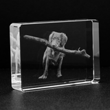 Personalized Crystal - Stadium