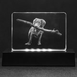Personalized Crystal - Stadium