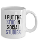 NEW PHRASINATOR: I put the stud in social studies