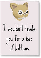 Cute Valentine Card - Adorable Love Card - Anniversary Card - Valentine's Day Card - Box Of Kittens - Greeting Card