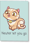 Cute Veterinarian Card - Vet Tech Cards - Cat Greeting Cards - Kitty Valentine's Day Card - Neuter - Greeting Card
