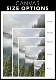 Stevens Canyon Nature Photo Canvas