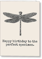 Entomologist Birthday Card - Entomology Greeting Card - Insect Collector Card - Perfect Specimen - Greeting Card