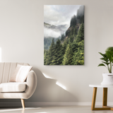 Stevens Canyon Nature Photo Canvas