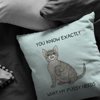 Sexy Boyfriend Gift - Sexy Throw Pillow - Husband Gift - Valentine's Day - Birthday or Anniversary Gift - You Know What My Pussy Needs