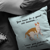 Sexy Boyfriend Gift - Sexy Throw Pillow - Husband Gift - Valentine's Day - Birthday or Anniversary Gift - You Just Made My Pussy Cum