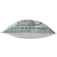 Sexy Boyfriend Gift - Sexy Throw Pillow - Husband Gift - Valentine's Day - Birthday or Anniversary Gift - You Know What My Pussy Needs