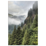 Stevens Canyon Nature Photo Canvas