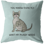 Sexy Boyfriend Gift - Sexy Throw Pillow - Husband Gift - Valentine's Day - Birthday or Anniversary Gift - You Know What My Pussy Needs