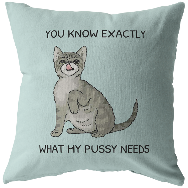 Sexy Boyfriend Gift - Sexy Throw Pillow - Husband Gift - Valentine's Day - Birthday or Anniversary Gift - You Know What My Pussy Needs