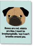 Nerdy Veterinarian Card - Veterinarian Valentine - Vet Tech Gift - Pug Veterinary - Brachycephalic - Greeting Card