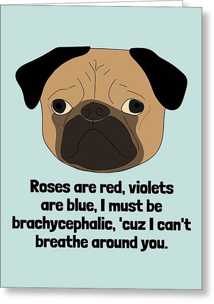 Nerdy Veterinarian Card - Veterinarian Valentine - Vet Tech Gift - Pug Veterinary - Brachycephalic - Greeting Card