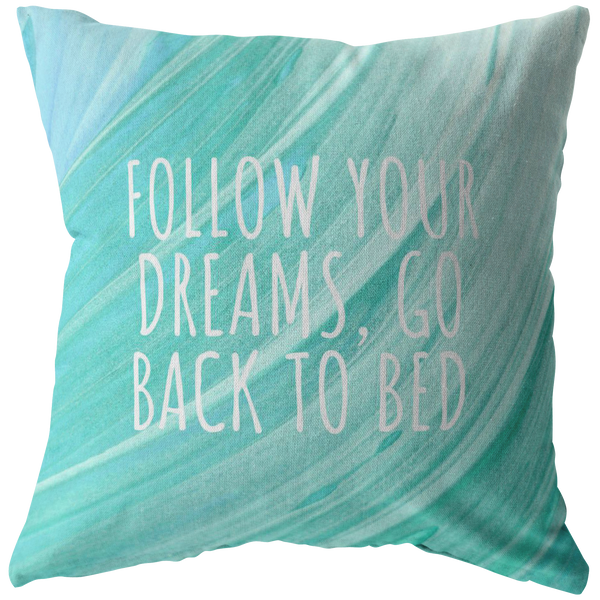 Funny Throw Pillow - Friend Birthday Gift - Funny Quote Pillow - Follow Your Dreams, Go Back To Bed